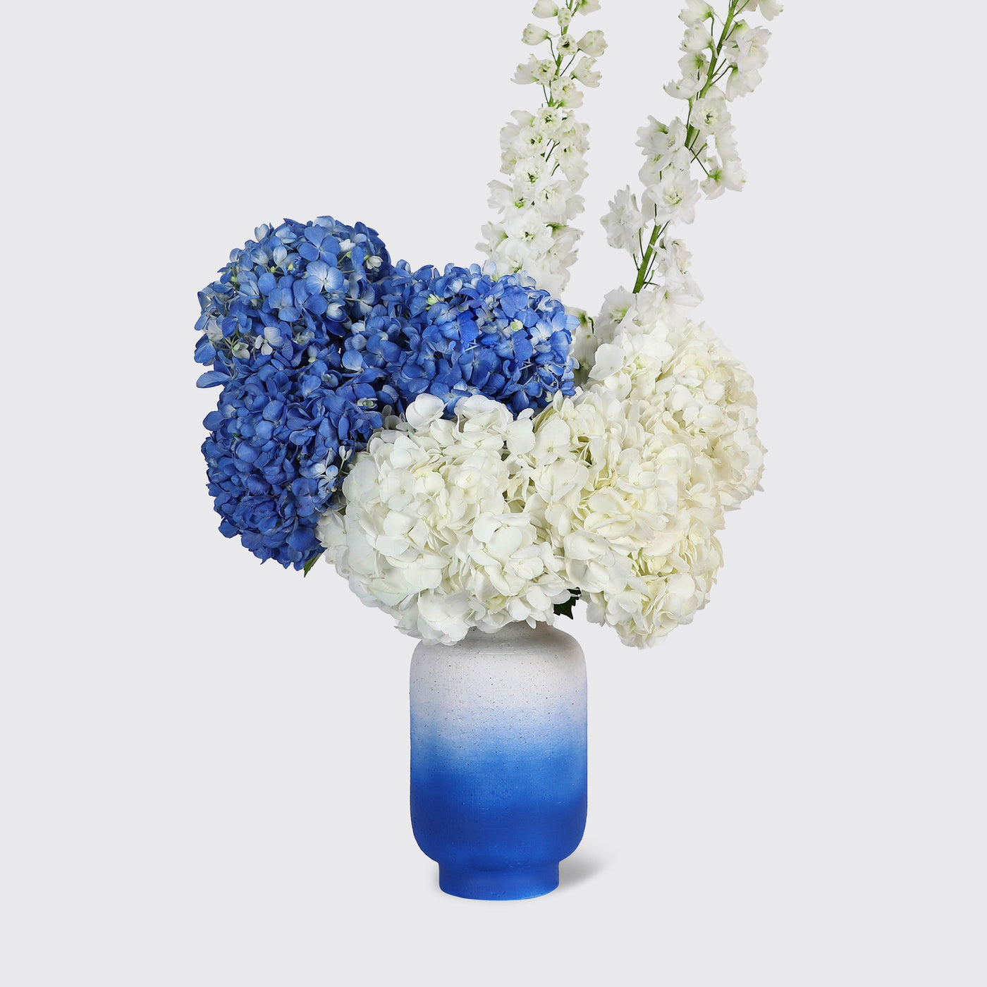 Cerulean in Vase - Fresh Flowers - Vase