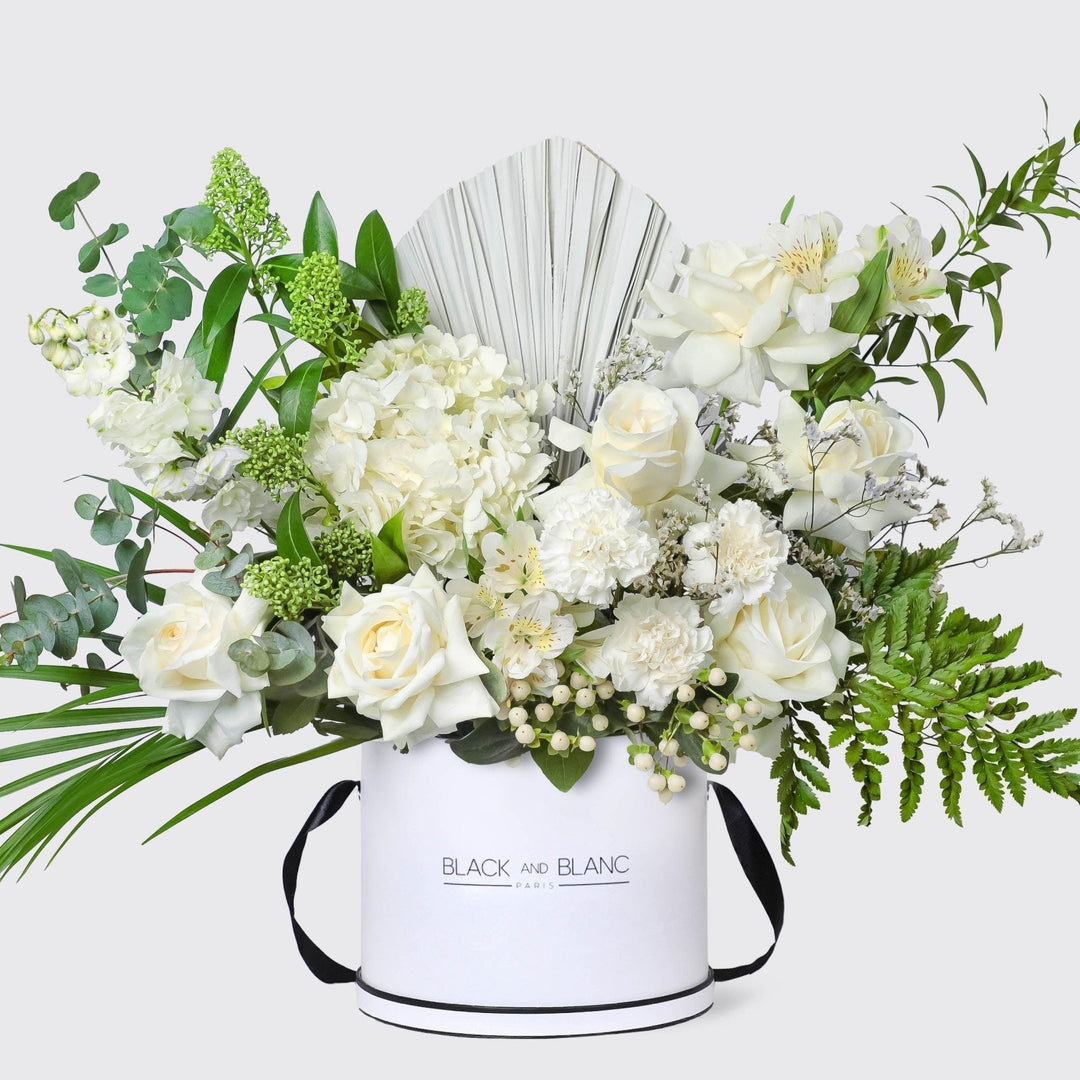 Chateau Elegance in Box - BLACK AND BLANC