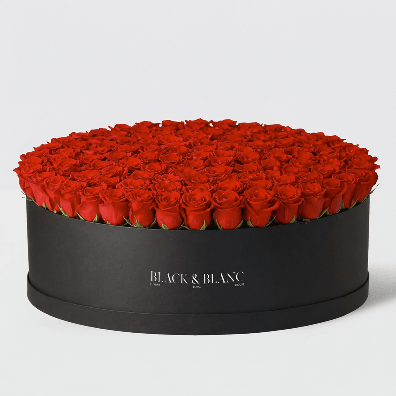 Classic Red Roses Extravaganza - BLACK AND BLANC