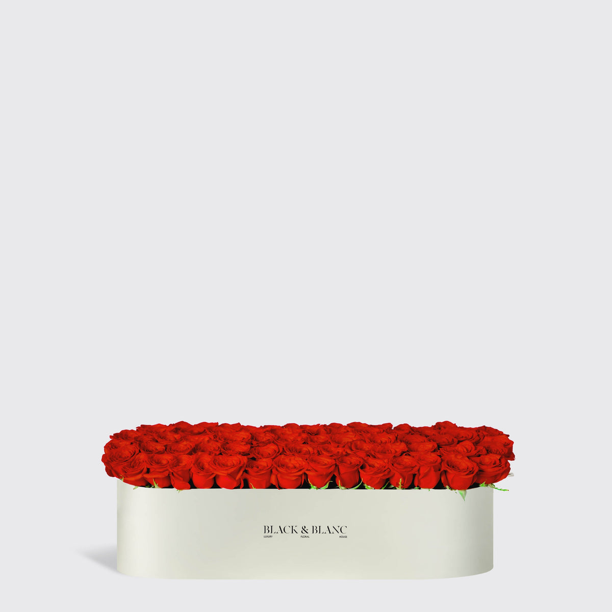 Classic Red Roses in One Meter Box - Infinity Roses