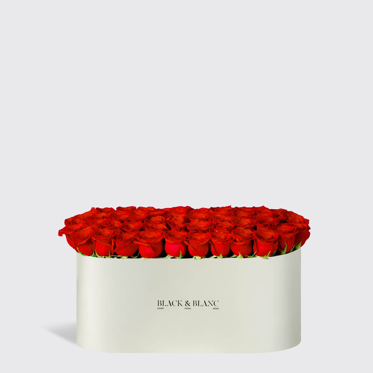 Classic Red Roses in Zenith