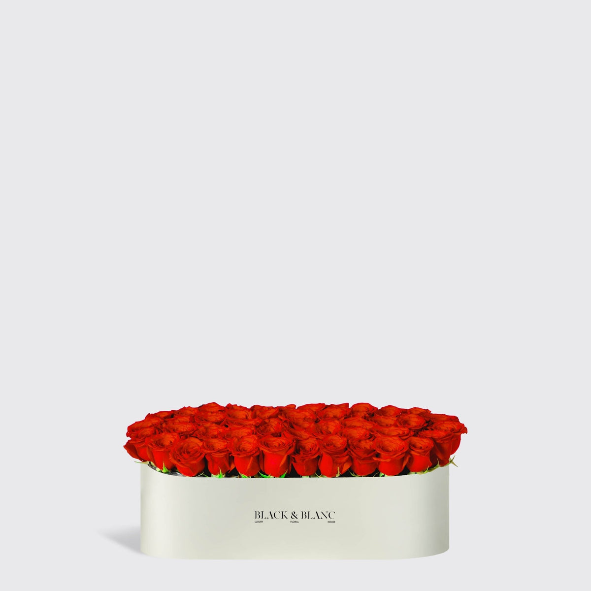 Classic Roses in Half Meter Box - Infinity Roses - BLACK AND BLANC