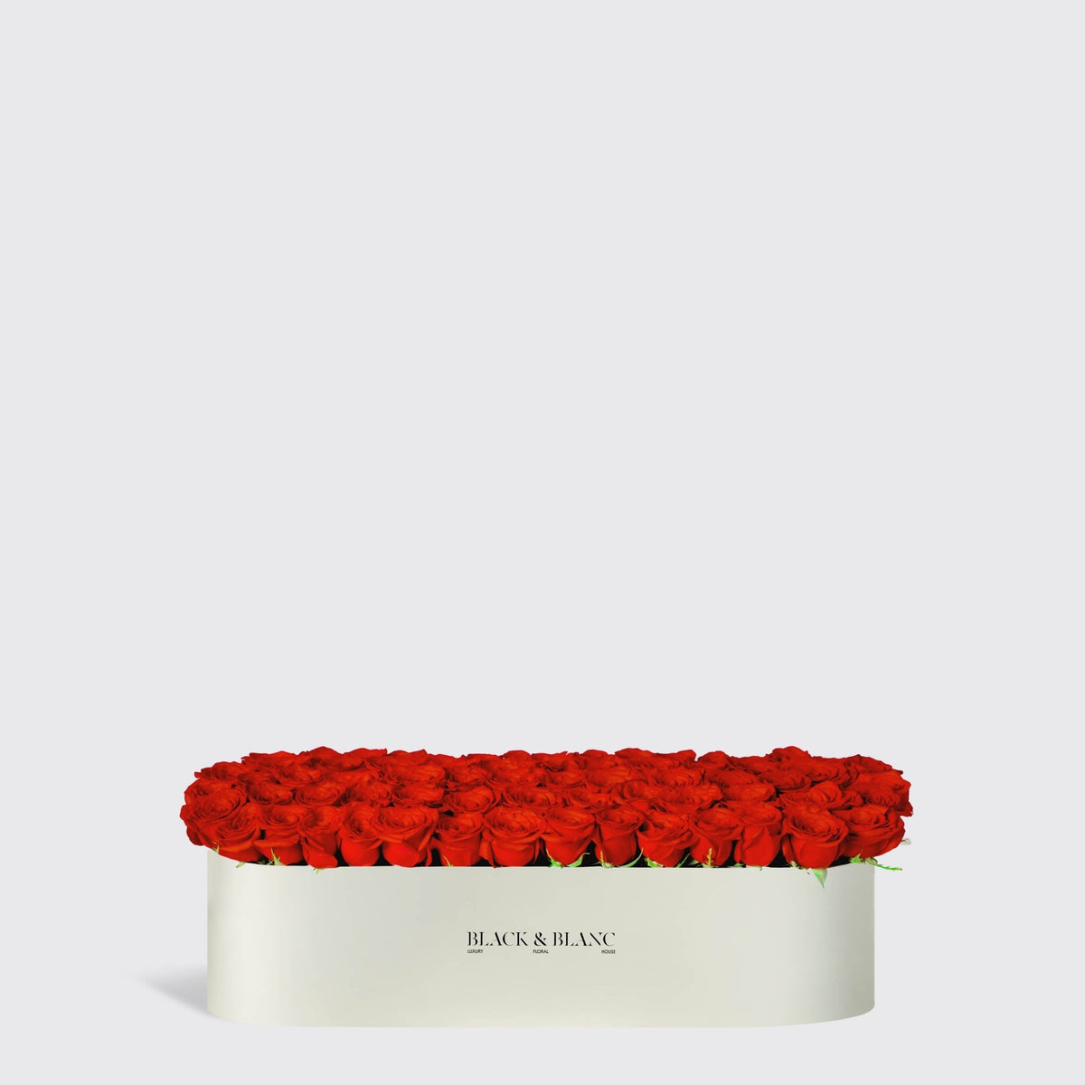 Classic Roses in One Meter Box - Infinity Roses - BLACK AND BLANC