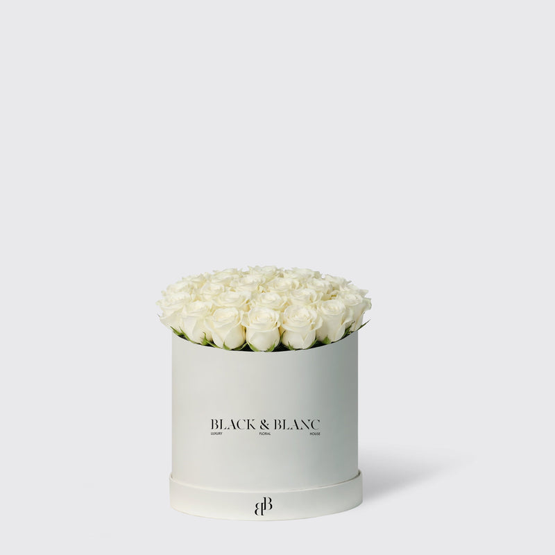 Classic White Roses in Box