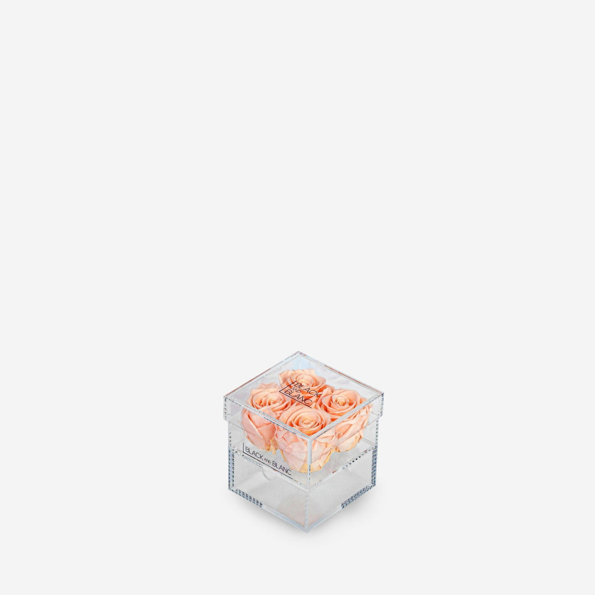 Clear - Infinity Roses - BLACK AND BLANC