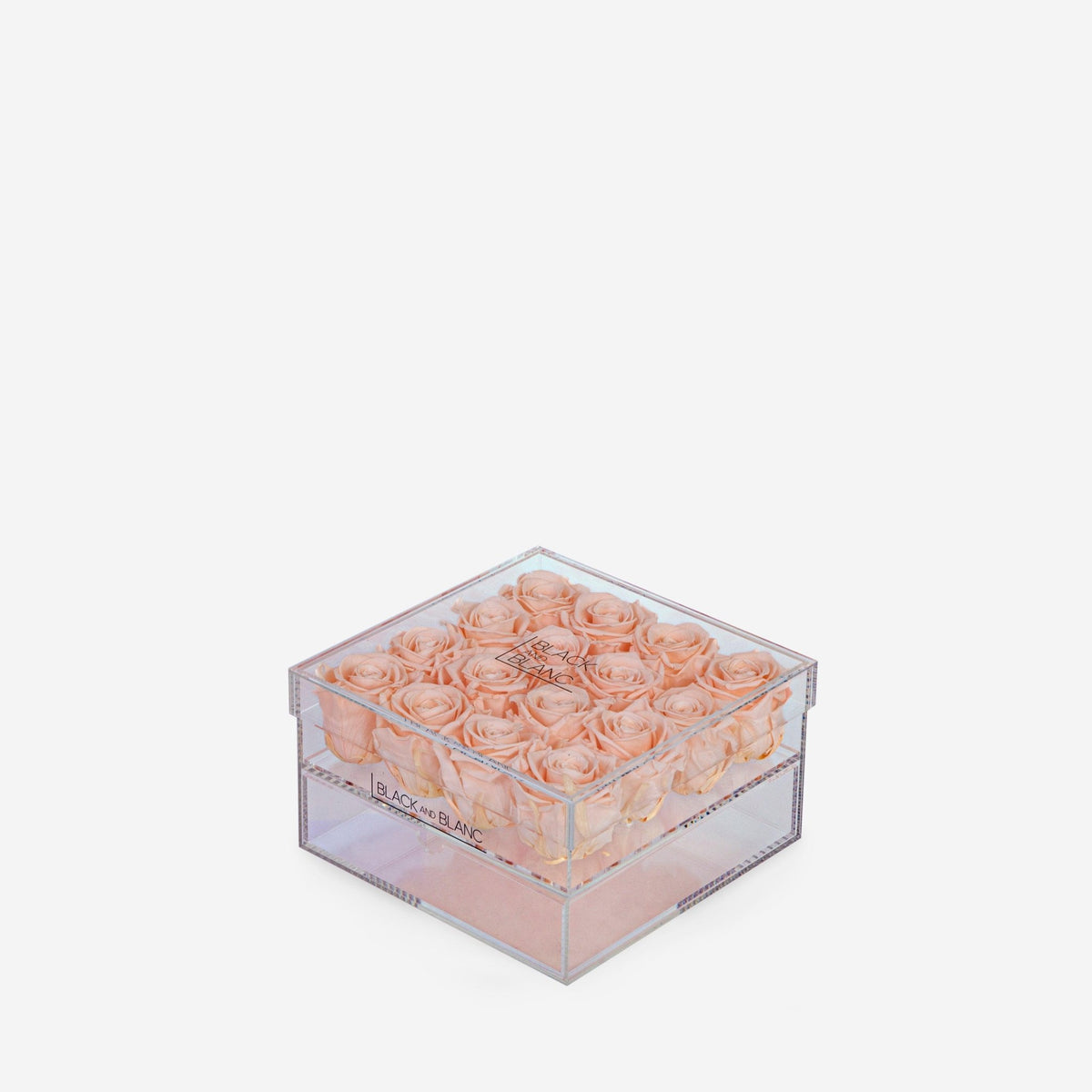 Clear - Infinity Roses - BLACK AND BLANC