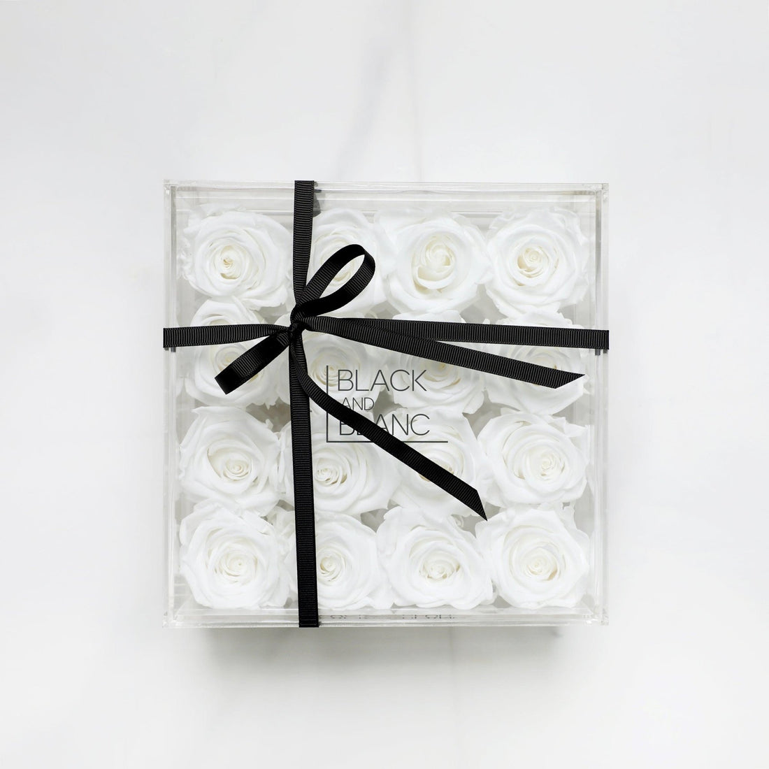 Clear - Infinity Roses - BLACK AND BLANC