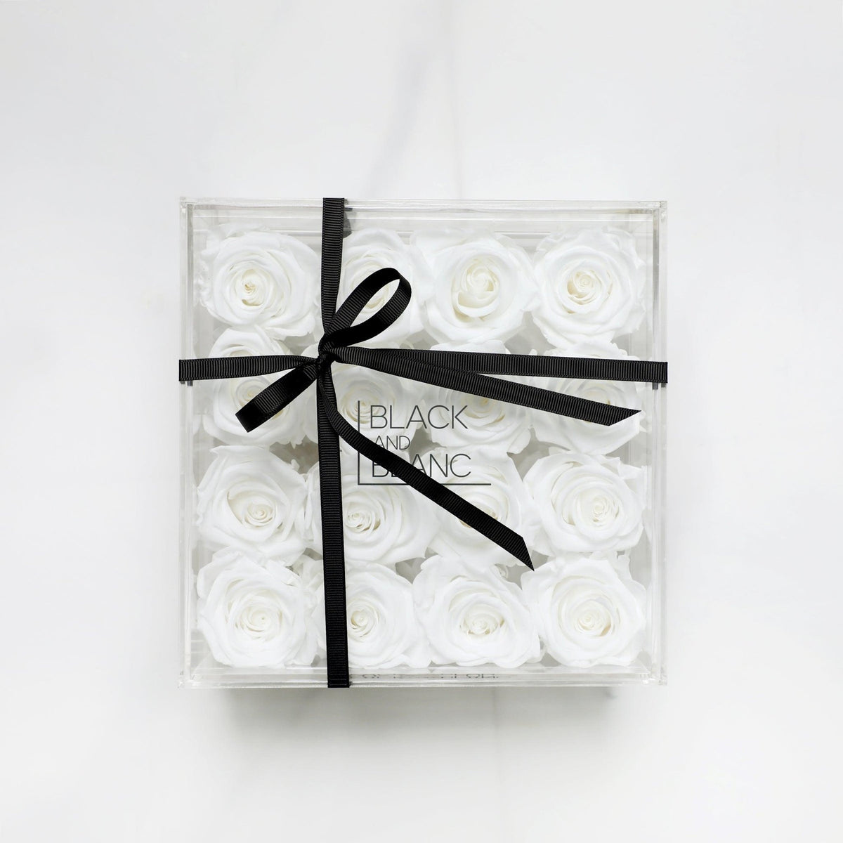 Clear - Infinity Roses - BLACK AND BLANC
