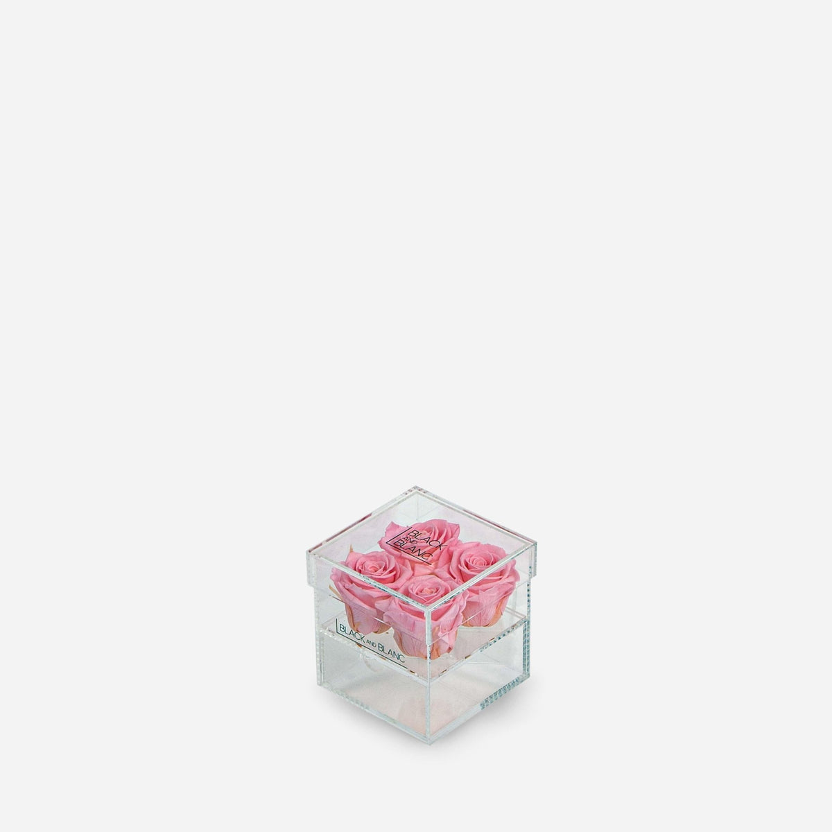 Clear - Infinity Roses - BLACK AND BLANC