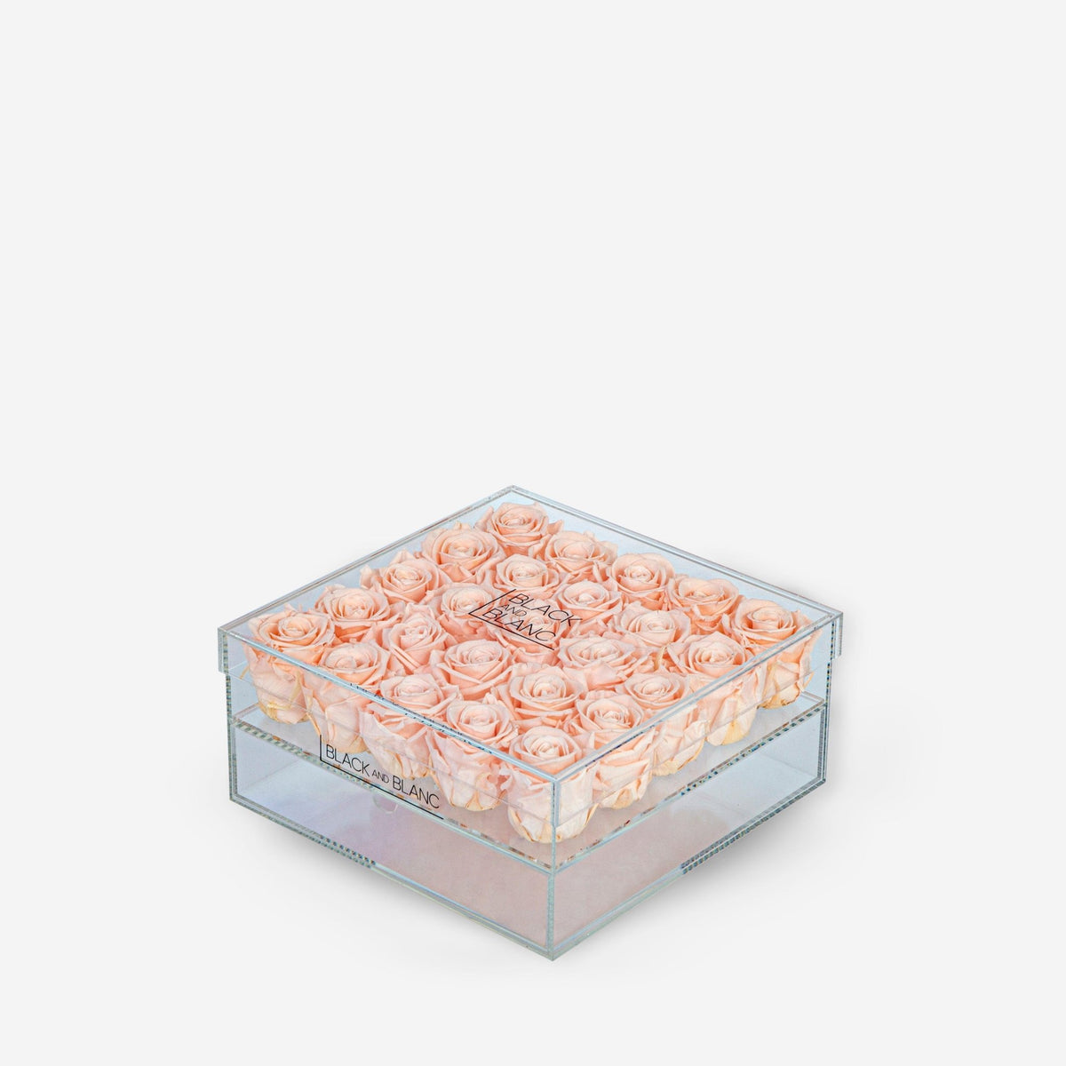 Clear - Infinity Roses - BLACK AND BLANC
