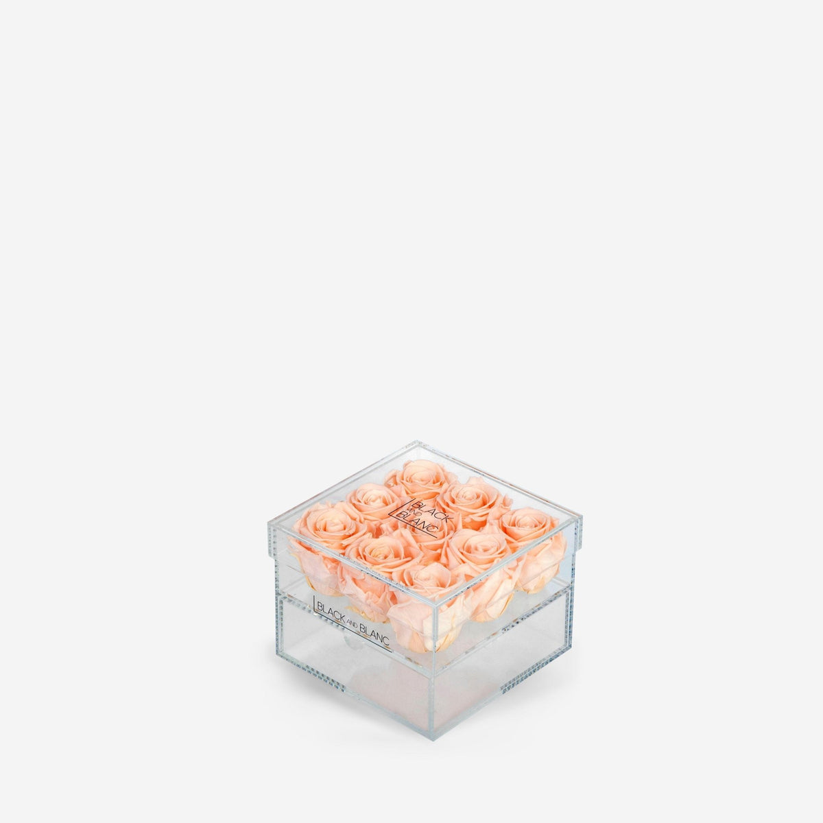 Clear - Infinity Roses - BLACK AND BLANC