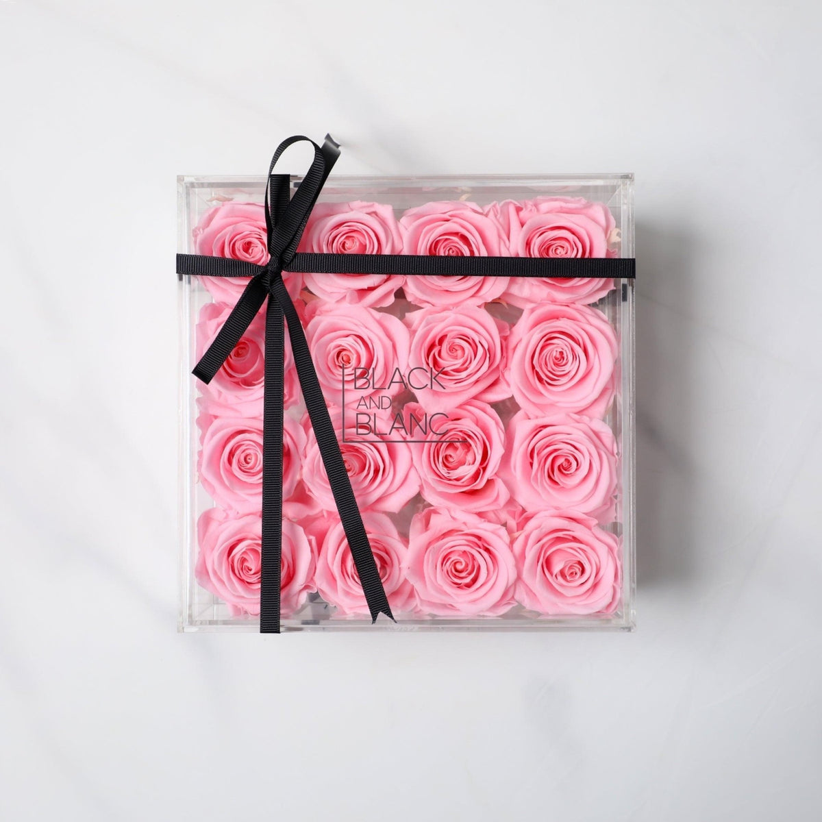 Clear - Infinity Roses - BLACK AND BLANC