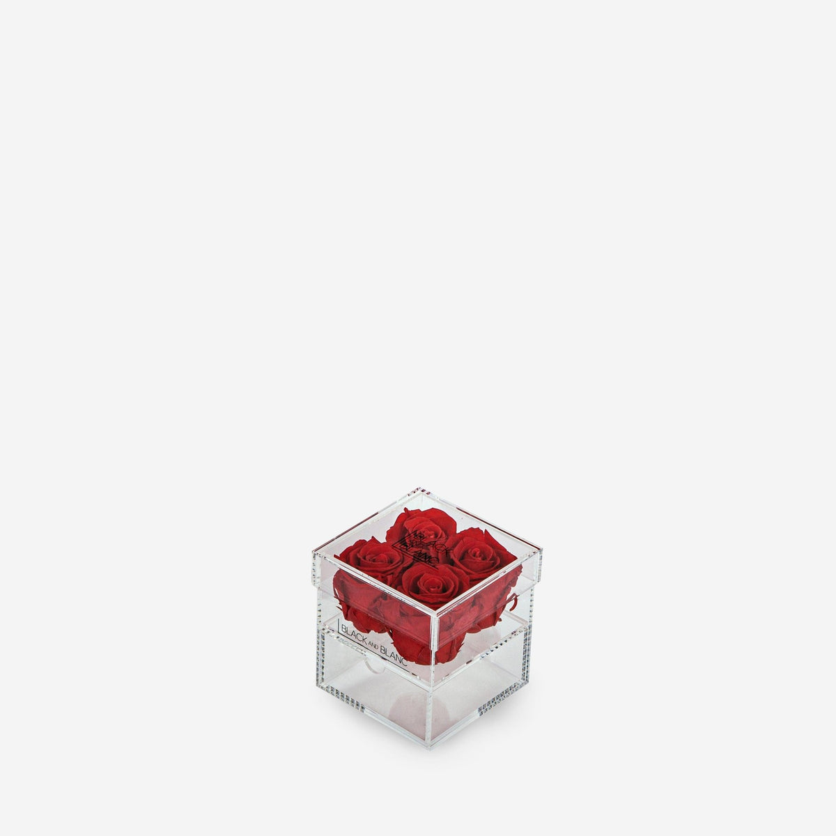 Clear - Infinity Roses - BLACK AND BLANC