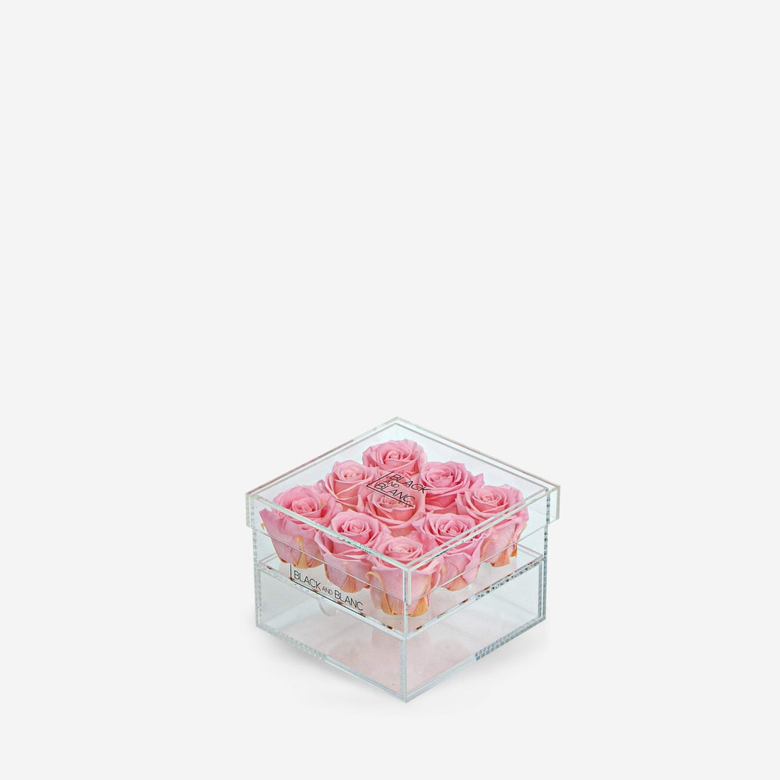 Clear - Infinity Roses - BLACK AND BLANC
