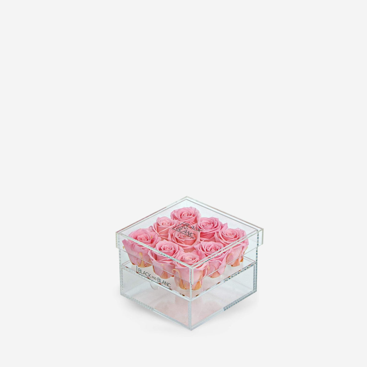 Clear - Infinity Roses - BLACK AND BLANC