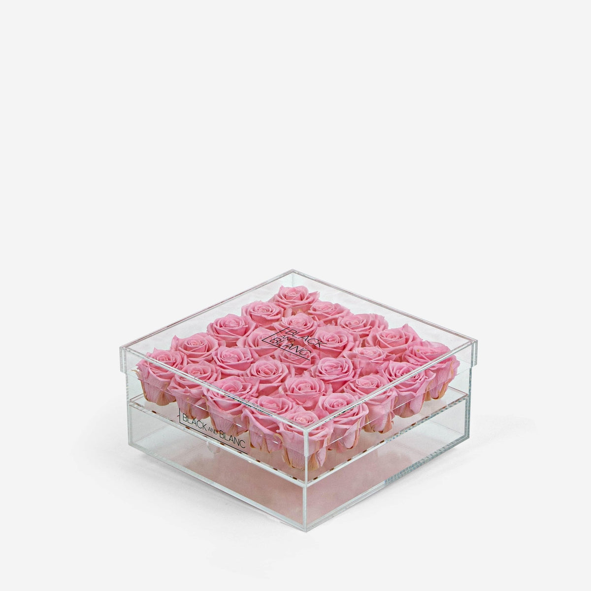Clear - Infinity Roses - BLACK AND BLANC