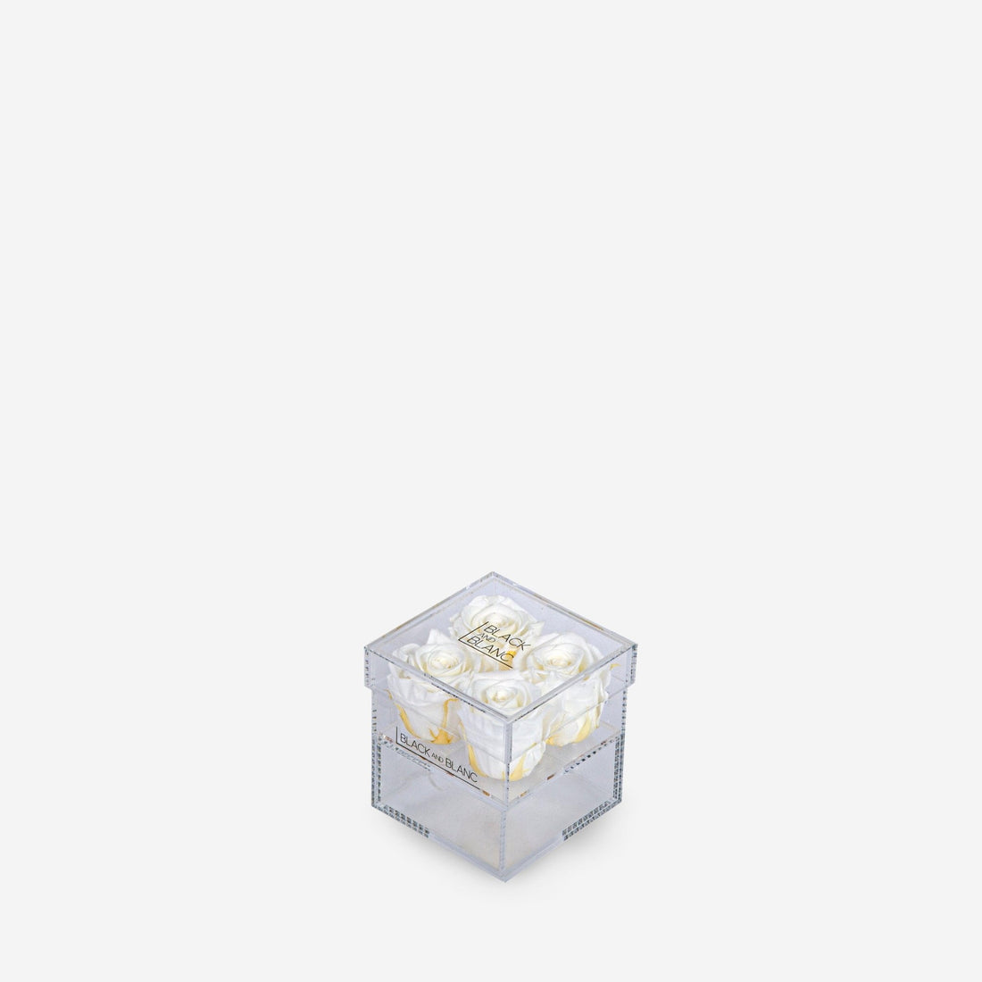 Clear - Infinity Roses - BLACK AND BLANC