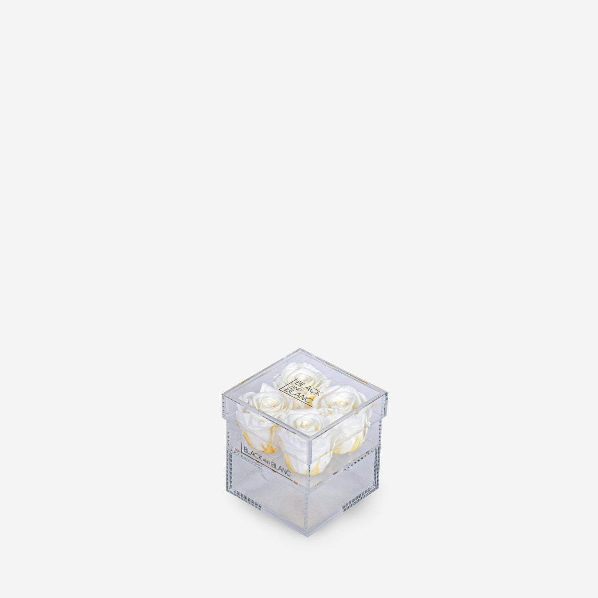 Clear - Infinity Roses - BLACK AND BLANC