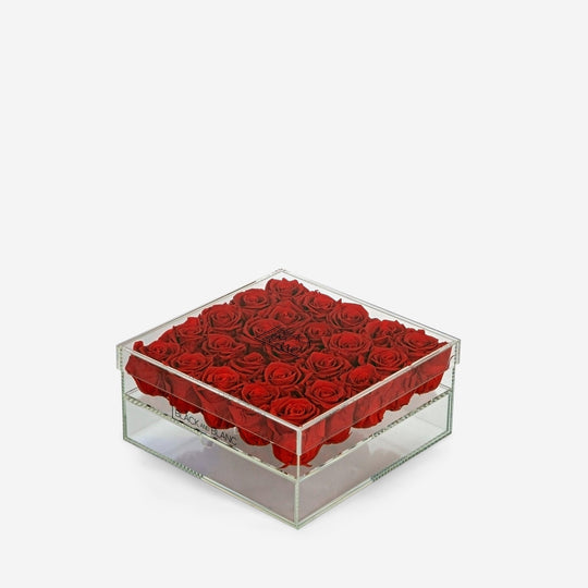 Clear - Infinity Roses - BLACK AND BLANC