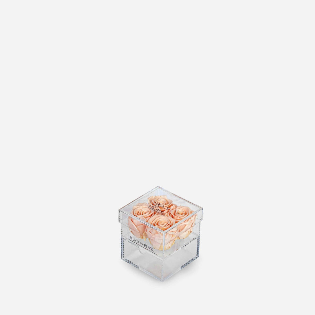 Clear - Infinity Roses - BLACK AND BLANC