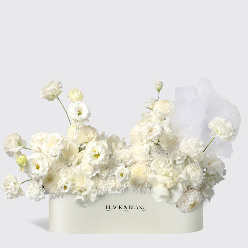 Cloud in Half Meter Box