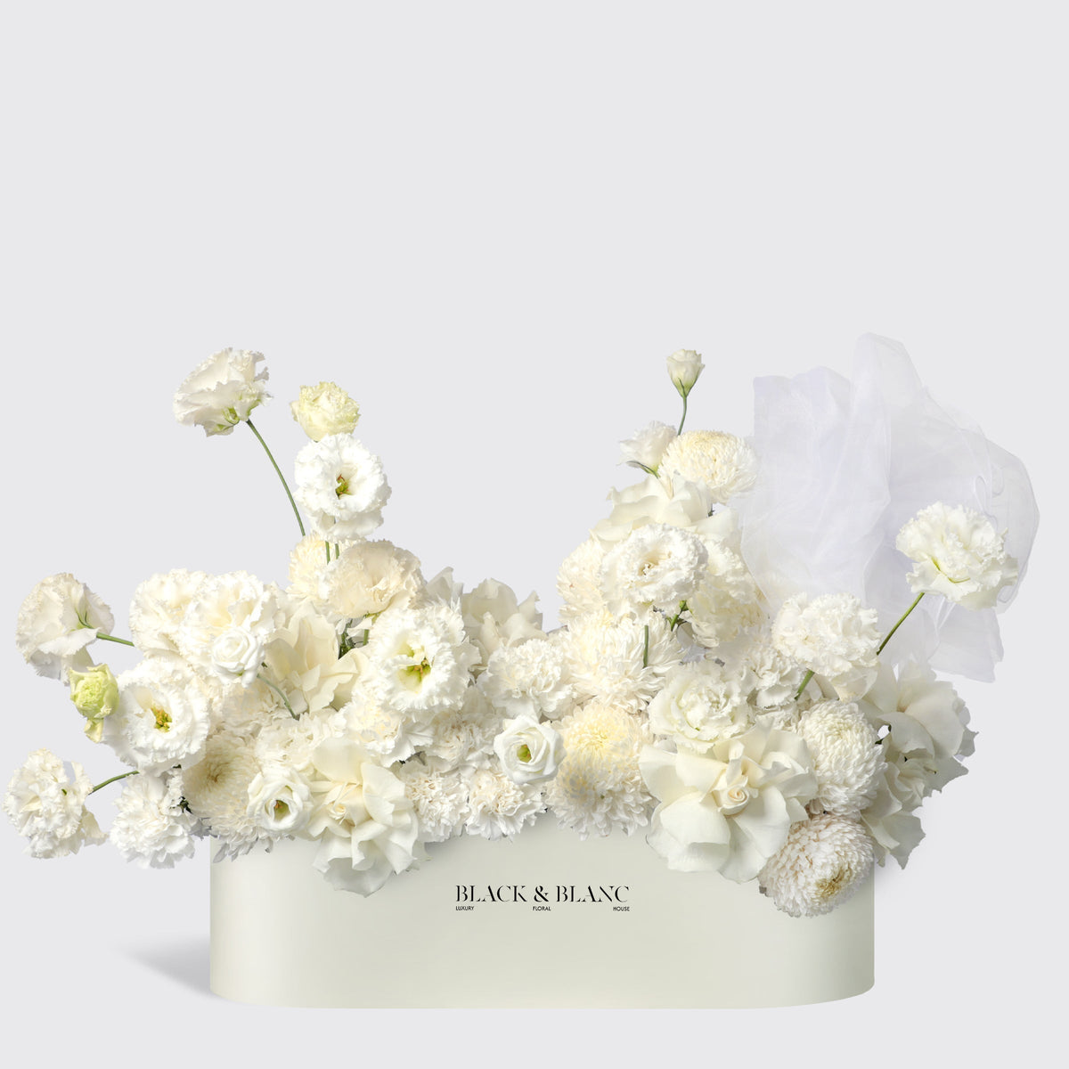 Cloud in Half Meter Box