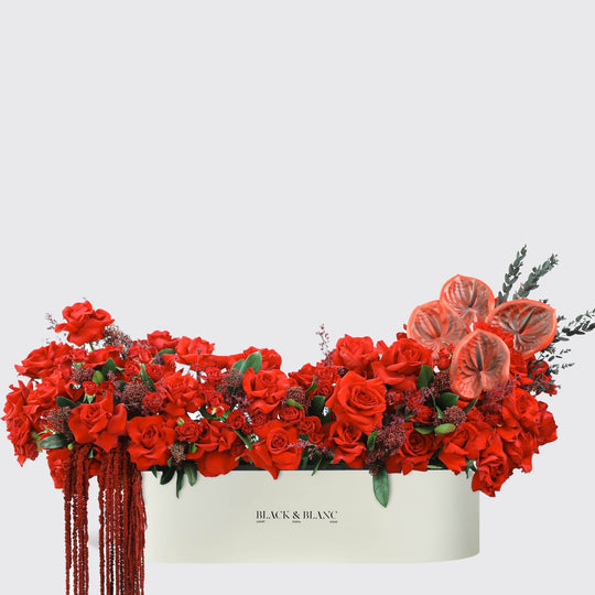 Crimson elegance in 1 Meter Box - BLACK AND BLANC