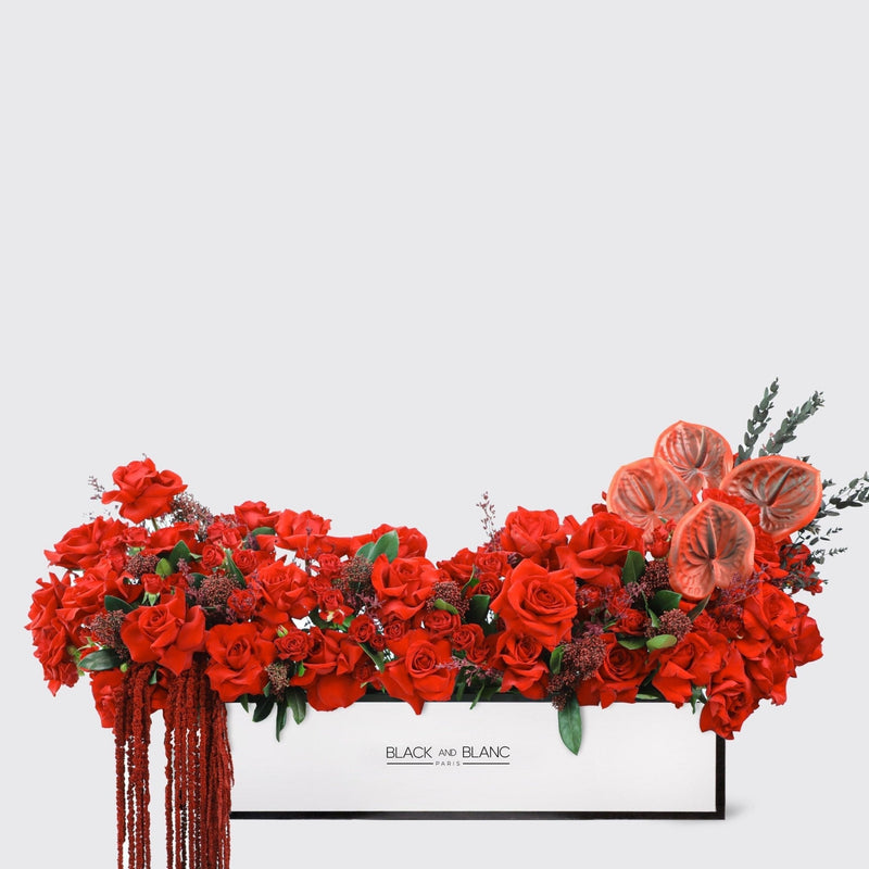 Crimson elegance in 1 meter Box - BLACK AND BLANC