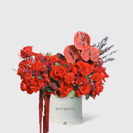 Crimson Elegance in Box - BLACK AND BLANC
