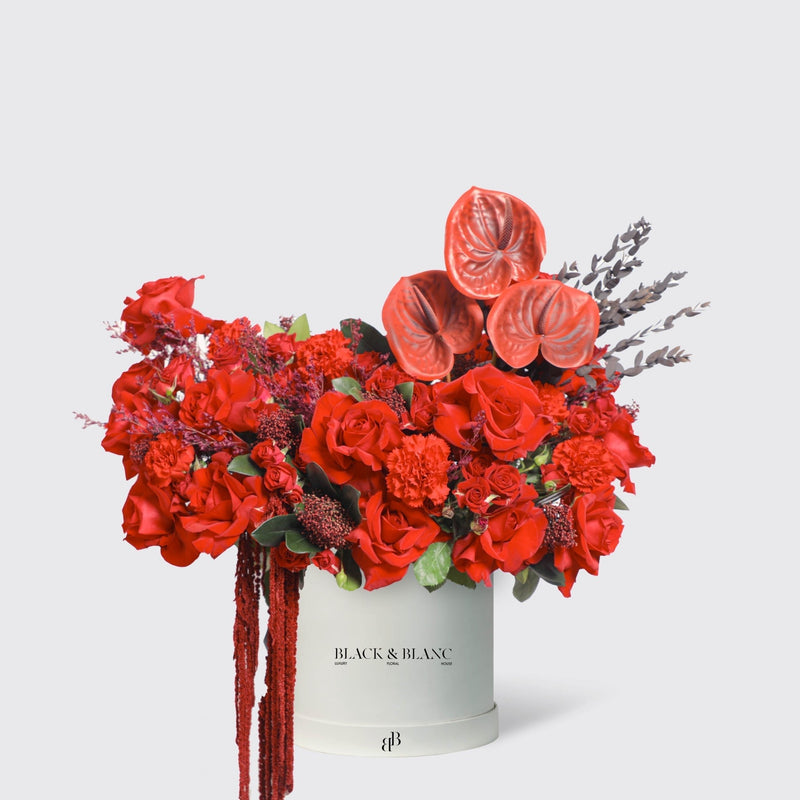 Crimson Elegance in Box - BLACK AND BLANC