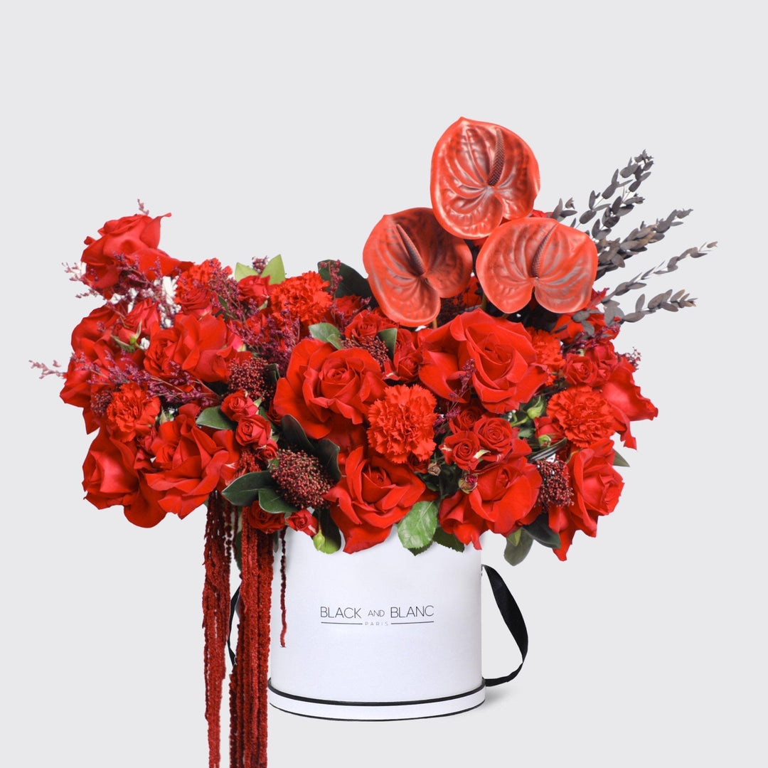 Crimson Elegance in Box - BLACK AND BLANC