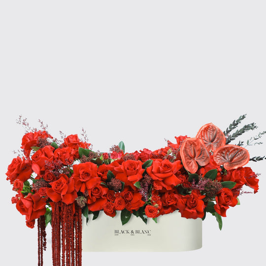 Crimson Elegance in Half meter Box - BLACK AND BLANC