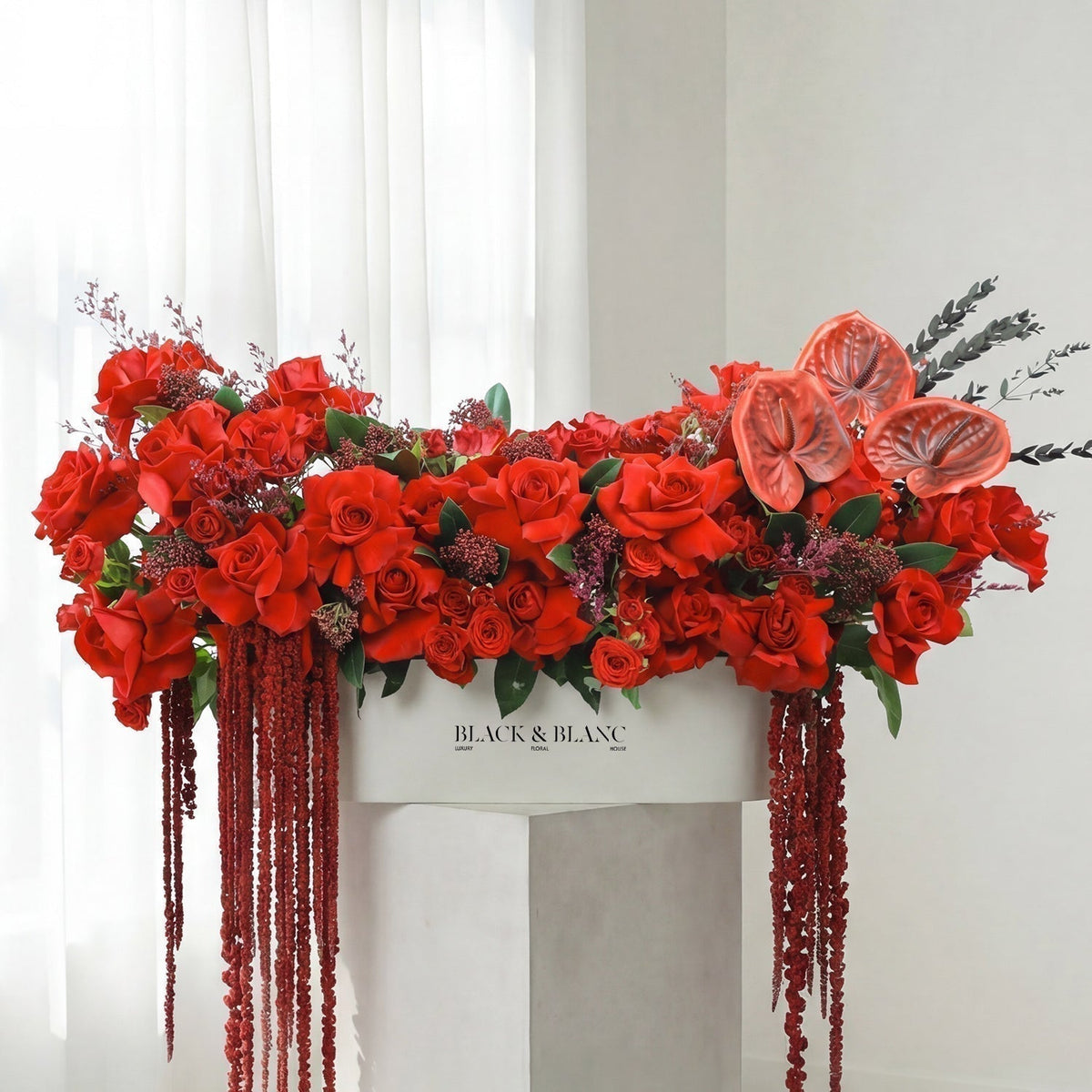 Crimson Elegance in Half meter Box - BLACK AND BLANC