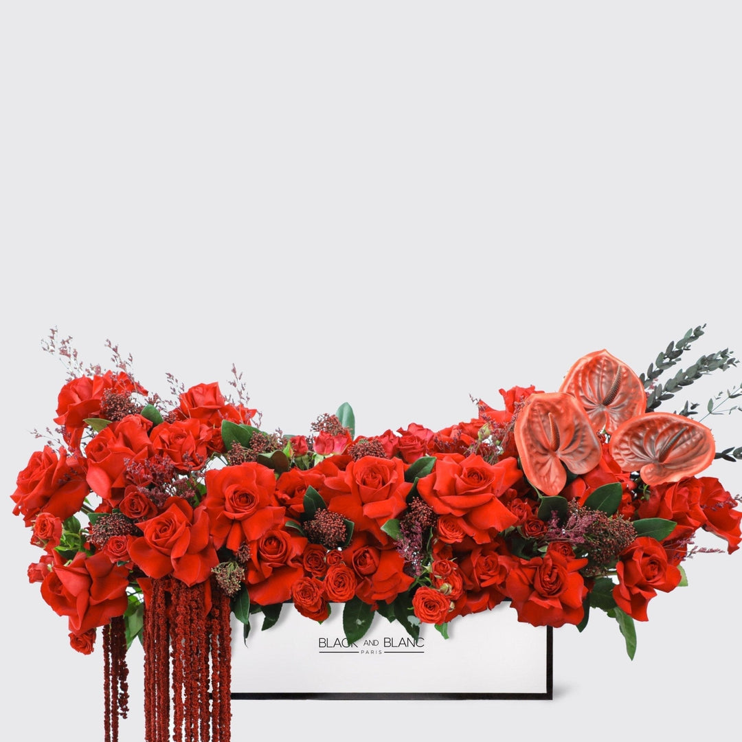 Crimson elegance in Half meter Box - BLACK AND BLANC