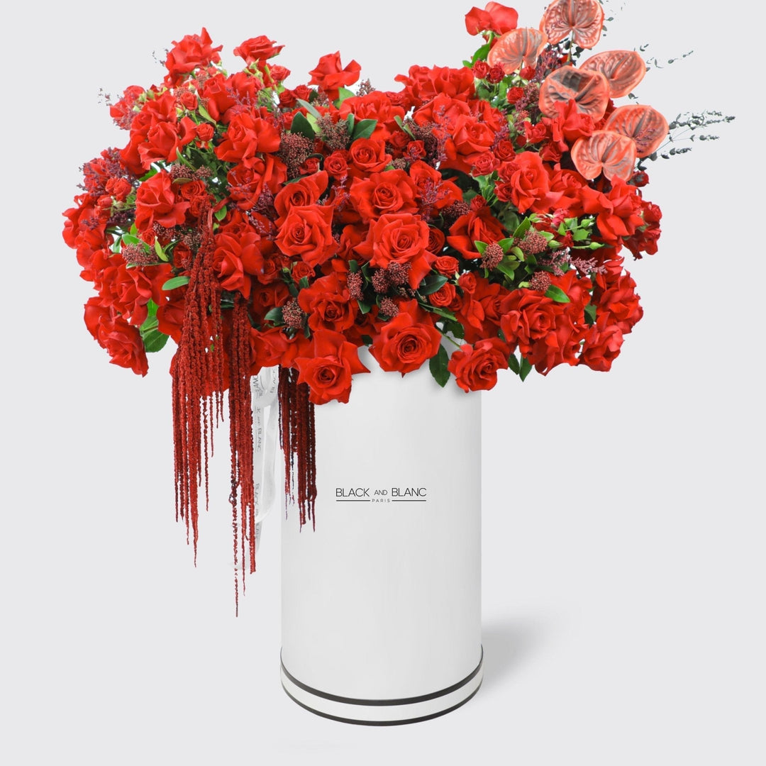 Crimson Elegance in Pinnacle - BLACK AND BLANC