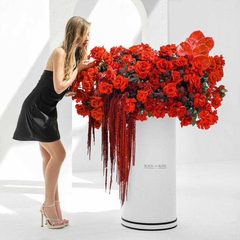 Crimson Elegance in Pinnacle - BLACK AND BLANC