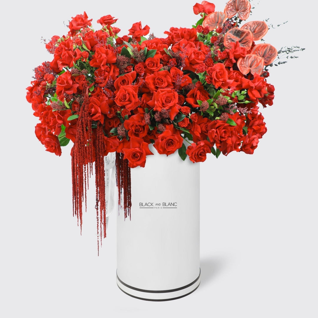 Crimson Elegance in Pinnacle - BLACK AND BLANC