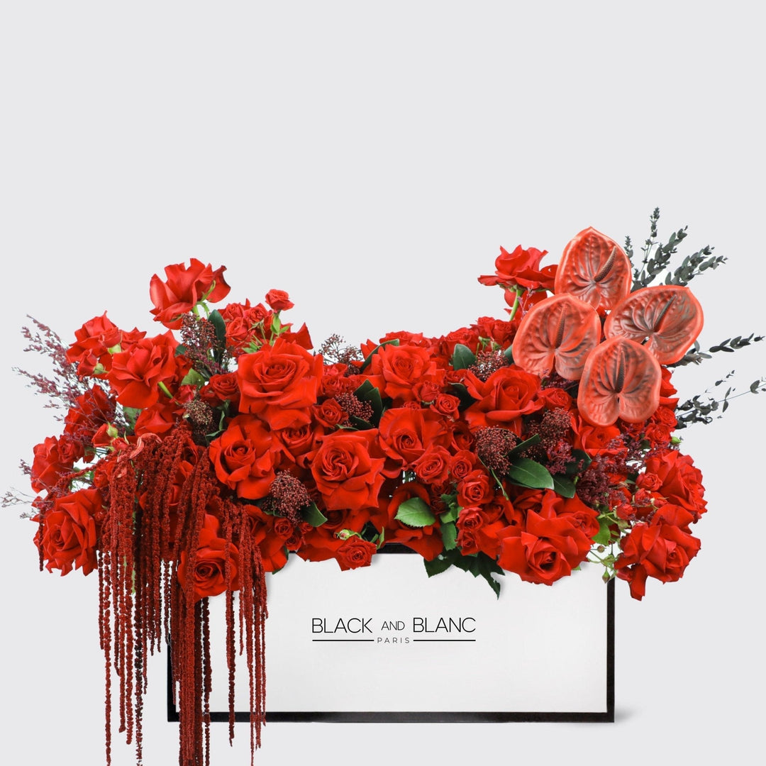 Crimson Elegance in Zenith - BLACK AND BLANC