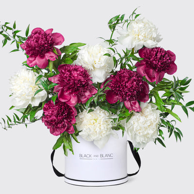 Crimson Ivory Peonies in Box - Le Grand / White