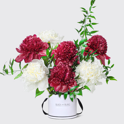 Crimson Ivory Peonies in Box - Le Medium / White