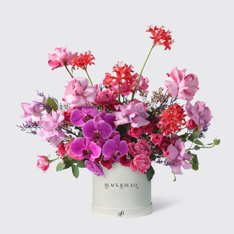 Royal Gathering in Box