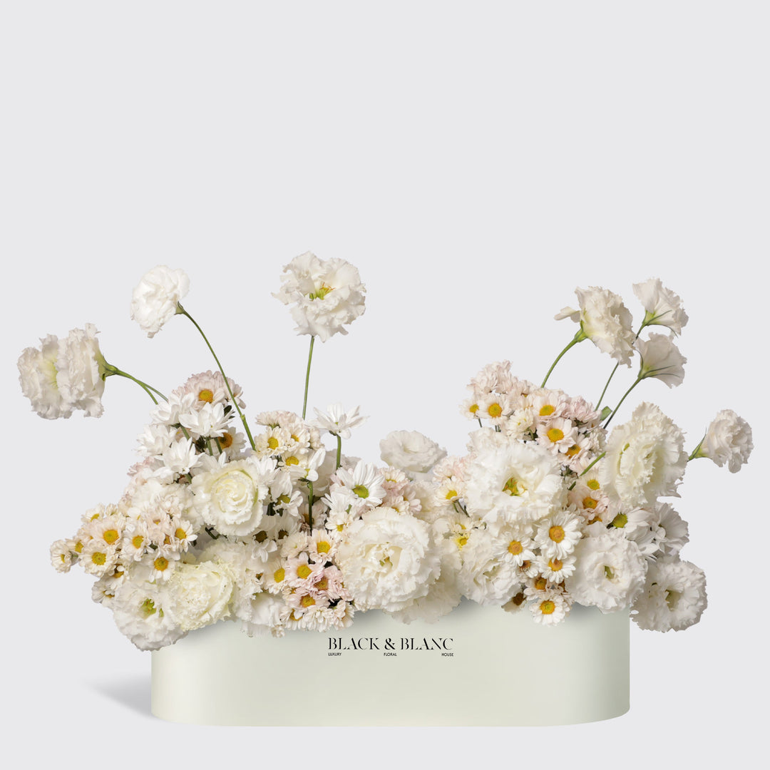 Daisy Cloud in One Meter Box