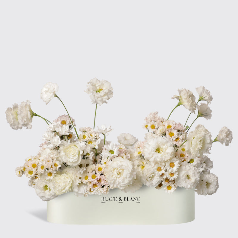 Daisy Cloud in One Meter Box