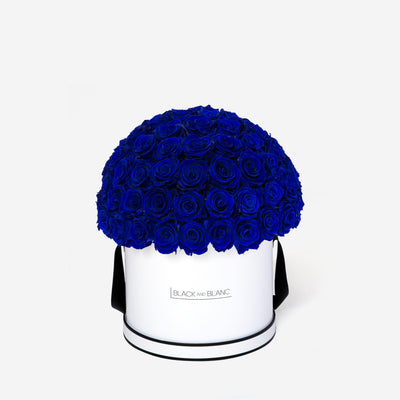 Deep Blue Dôme Classic - Infinity Roses - BLACK AND BLANC