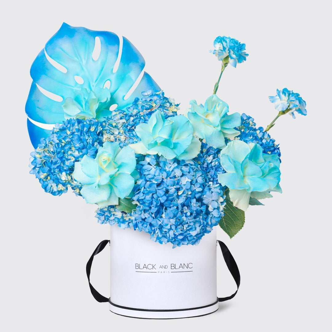 Deep Blue Sea Calm in Box - BLACK AND BLANC