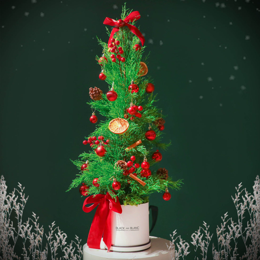 Divine Cedar Tree - BLACK AND BLANC