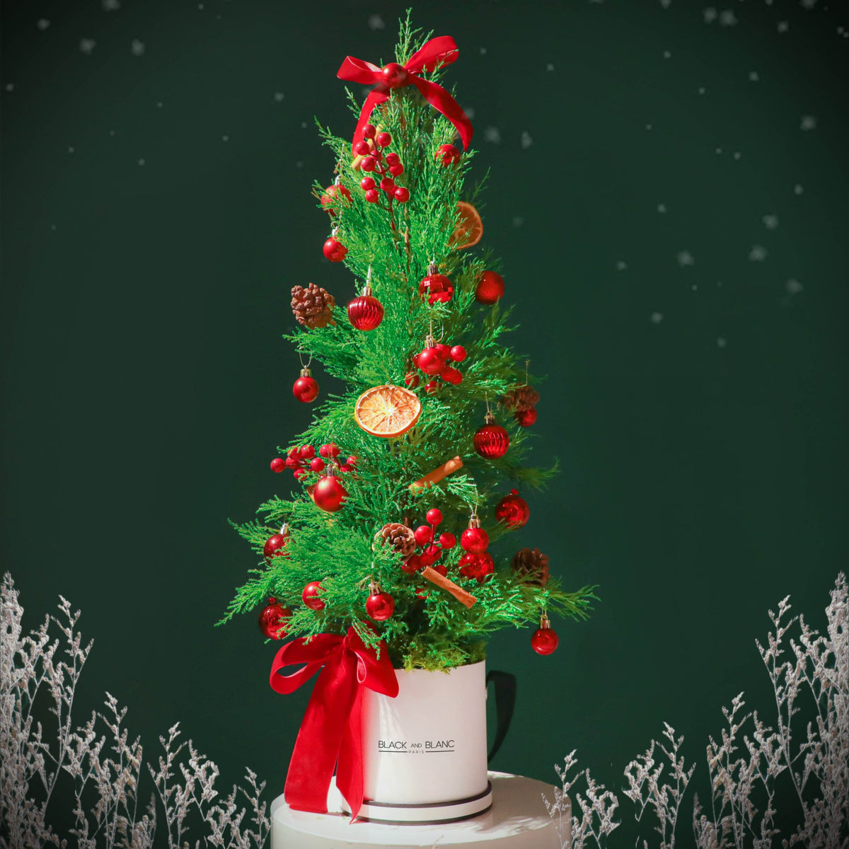 Divine Cedar Tree - BLACK AND BLANC