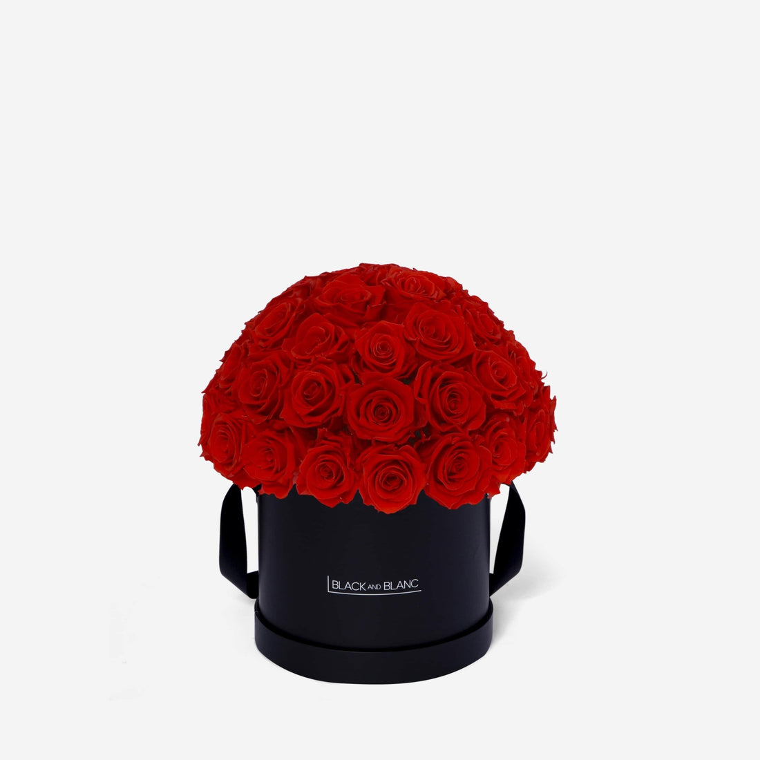 Dôme Classic - Infinity Roses - BLACK AND BLANC