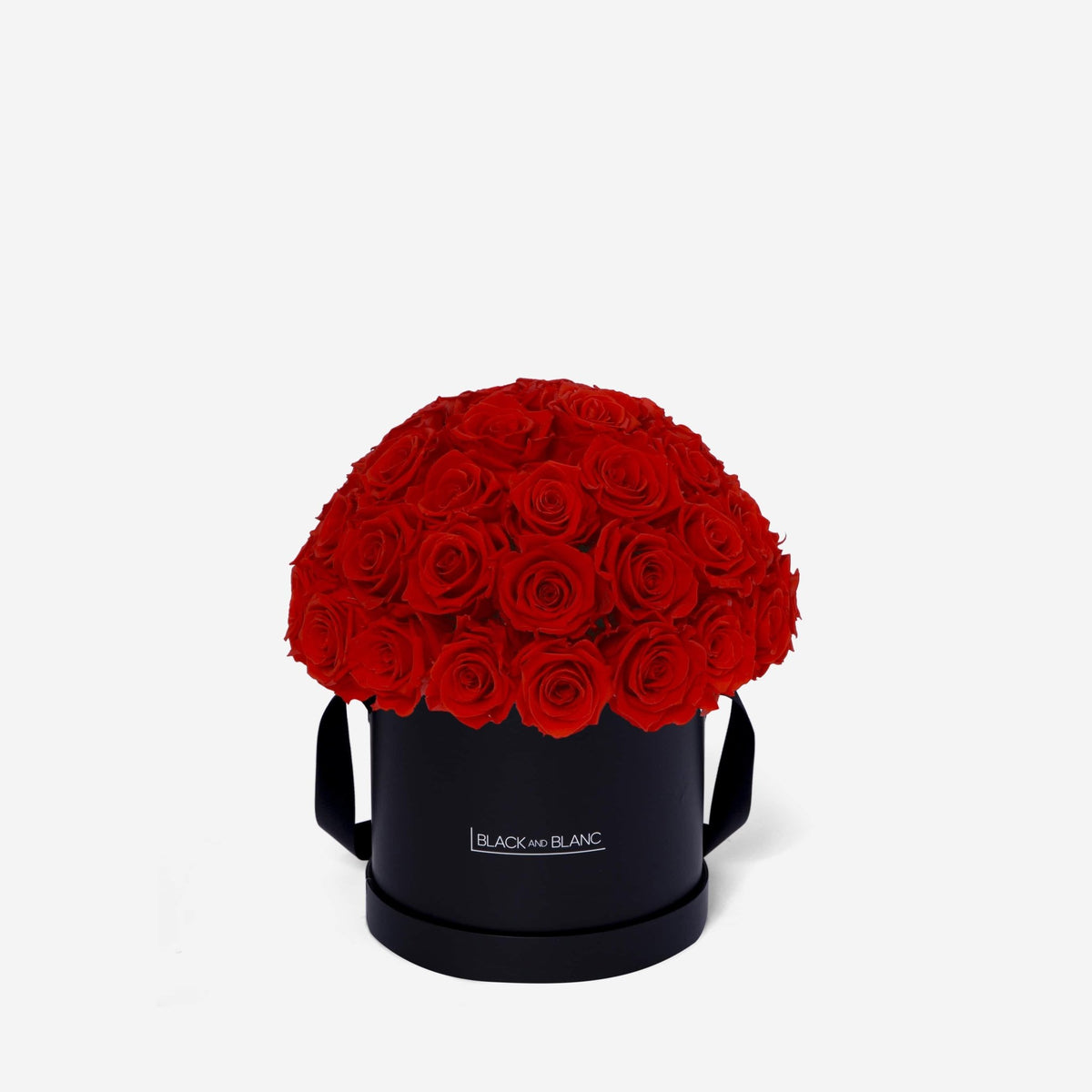 Dôme Classic - Infinity Roses - BLACK AND BLANC