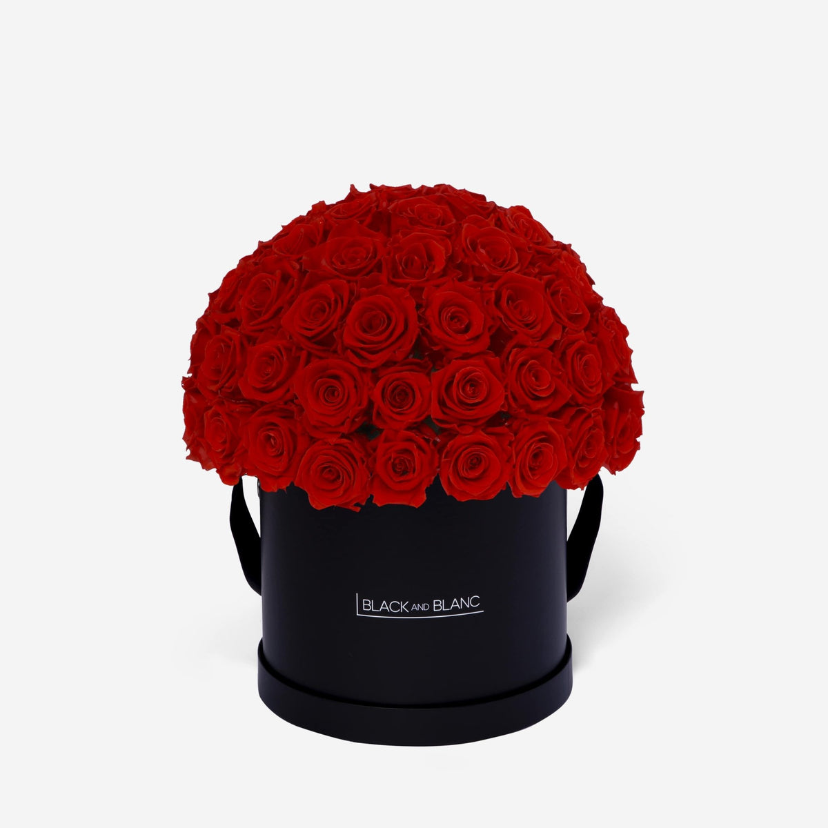 Dôme Classic - Infinity Roses - BLACK AND BLANC